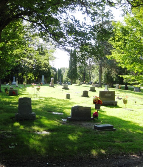 Headstones under tall trees at Maple Grove Cemetery